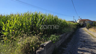 Land for sale in Barcelos, Portugal — €49,500