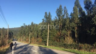 Land for sale in Paredes, Portugal — €74,000