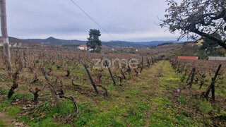 Land for sale in Alijó, Portugal — €150,000