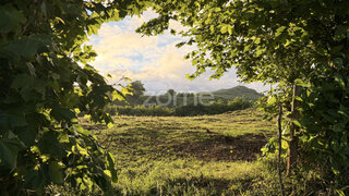 Land for sale in Ribeira Grande, Portugal — €26,000