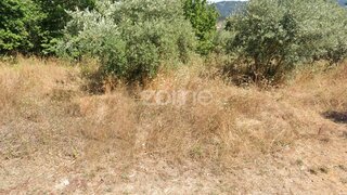 Land for sale in Miranda do Corvo, Portugal — €50,000