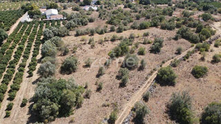 Terreno para venda em Silves, Portugal — 31 000 €
