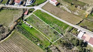 Land for sale in Anadia, Portugal — €60,000
