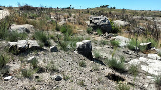 Land for sale in Seia, Portugal — €80,000