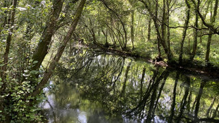 Terreno para venda em Esposende, Portugal — 428 000 €