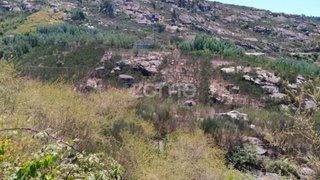 Land for sale in Oliveira do Hospital, Portugal — €11,000