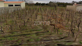 Terreno · 770 m² · 33 000 €