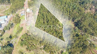 Terreno em Santa Cruz · 7790 m² · 55 000 €