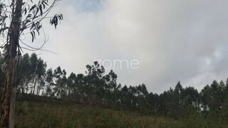 Land for sale in Vila Verde, Portugal — €8,000