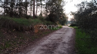 Terreno em Soure · 4100 m² · 36 900 €