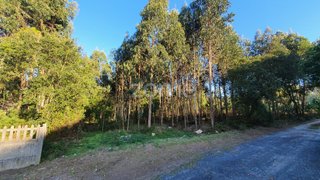 Grond · 2.750 m² · € 19.950