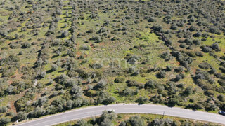 Land for sale in Silves, Portugal — €70,000