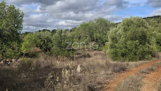 Terreno · 11 460 m² · 45 000 €