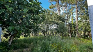 Land for sale in Soure, Portugal