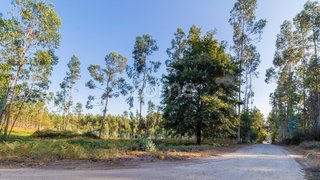 Land for sale in Santo Tirso, Portugal — €69,000
