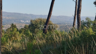Land for sale in Mangualde, Portugal — €25,000