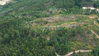 Terreno em Amarante · 12 708 m² · 174 000 €