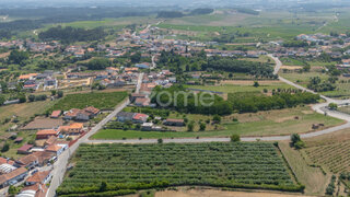 Terreno em Anadia · 9050 m² · 155 000 €