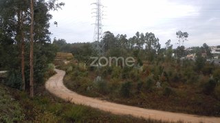 Land for sale in Vila Nova de Poiares, Portugal
