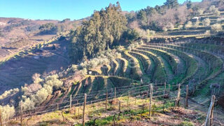 Land for sale in Peso da Régua, Portugal — €40,000