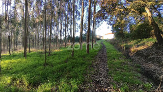 Terreno · 33 561 m² · 87 500 €