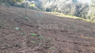 Land for sale in Chaves, Portugal — €17,000