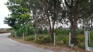 Land for sale in Cantanhede, Portugal — €40,000