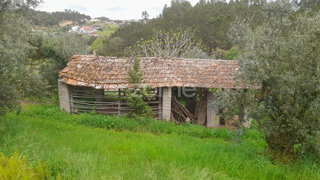 Land for sale in Soure, Portugal — €12,500
