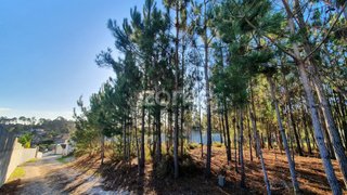 Land for sale in Marinha Grande, Portugal — €19,900