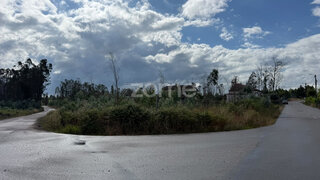 Terreno · 8730 m² · 109 500 €