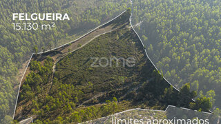 Terreno · 15 130 m² · 31 000 €