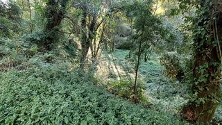 Terreno · 1490 m² · 39 000 €
