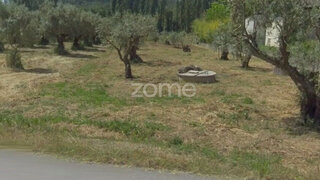 Land for sale in Pombal, Portugal — €49,900