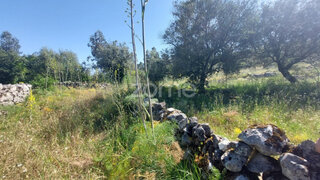 Land for sale in Batalha, Portugal — €25,000