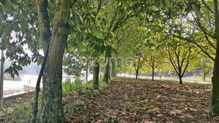 Land for sale in Santo Tirso, Portugal — €195,000