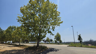Land for sale in Águeda, Portugal — €38,500