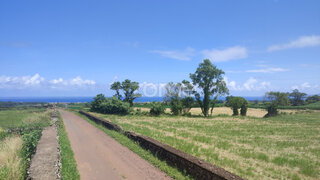 Land for sale in Ribeira Grande, Portugal — €155,000