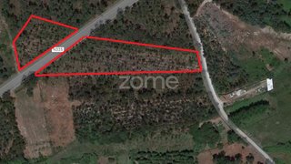 Land for sale in Cantanhede, Portugal — €39,900