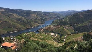 Land for sale in Armamar, Portugal — €120,000