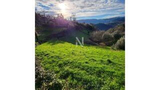 Terreno · 8500 m² · 17 000 €