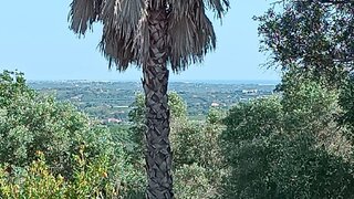 Land for sale in Silves, Portugal — €45,000