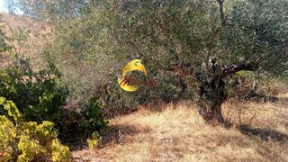 Terreno · 240 m² · 2500 €