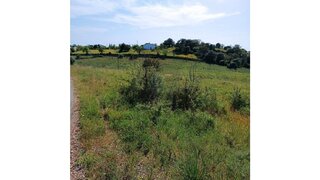 Land for sale in Silves, Portugal — €34,900