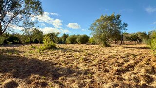 Land for sale in Loulé, Portugal — €249,000
