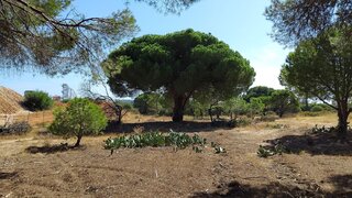 Land for sale in Loulé, Portugal — €180,000