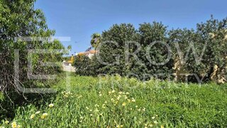 Land for sale in São Brás de Alportel, Portugal — €165,000