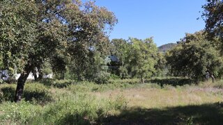 Land for sale in Loulé, Portugal — €140,000
