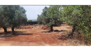 Land for sale in Loulé, Portugal — €77,000