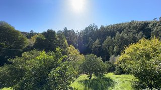 Land for sale in Monchique, Portugal — €345,000