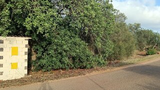 Land for sale in Loulé, Portugal — €77,000